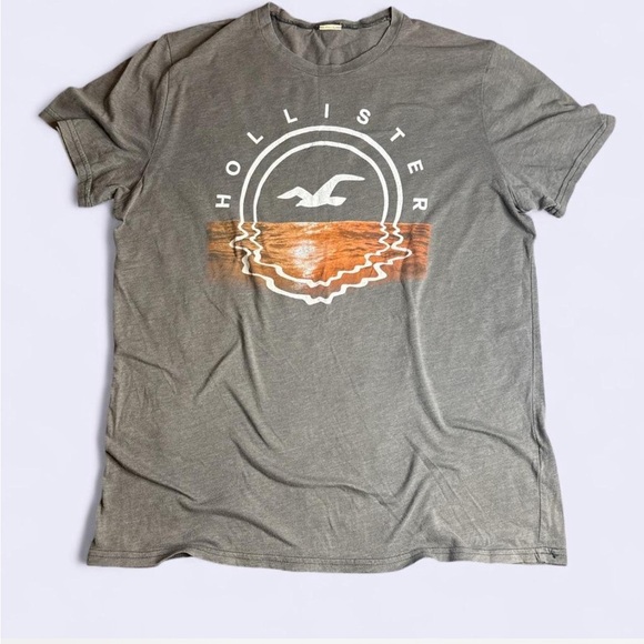 Hollister Gray Sunset Seagull Graphic T-Shirt - Picture 2 of 6